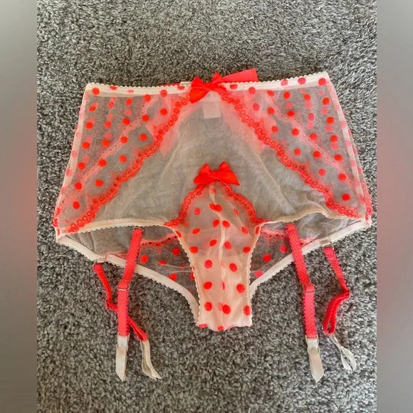 NWT Victoria’s Secret high waisted garter panty size S - Picture 1 of 2